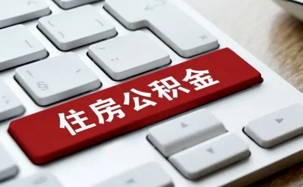那曲公积金公司交的部分怎么提取（公积金提取公司缴纳部分）